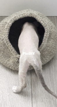 Kittens Cocoon by Yun Jeong