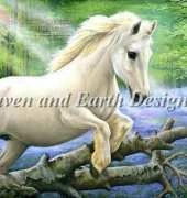 HAE HAEIAG 1256 White Pony In Bluebell Wood