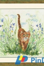 Lanarte 34767 - Cat in grass XSD