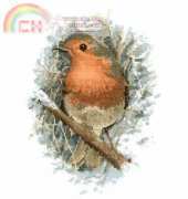 Heritage Stitchcraft JSRR401 Robin Redbreast by John Stubbs XSD