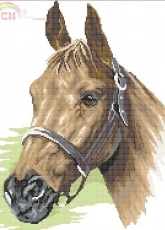 Lanarte 35055 Horses Head .pat