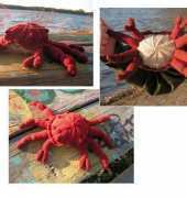 The Deadliest Crab by Amber Allison/Knitty, Summer 2009-English-Free