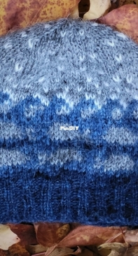Salmon Run Beanie by Lynette Meek-Free