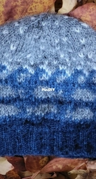 Salmon Run Beanie by Lynette Meek-Free