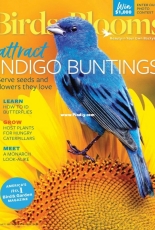 Birds and Blooms - August/September 2018