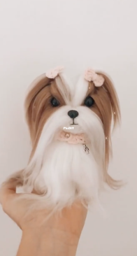 Loja Fofys - Thamy - Shih tzu Lola