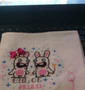 carnet de sante lapin
