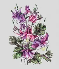 Ameli Stitch - Aquilegia by Anna Smith / Kuznetsova
