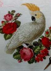 My Antique Parrot 2