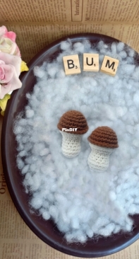 BumHandmade - Porcini Mushroom