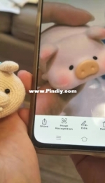 lulu pig