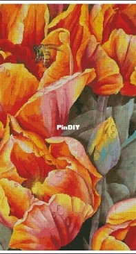 Haukun H-141 - Golden Tulips