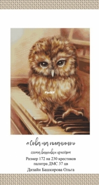 Owl on the piano by Olga Bashkirova xsd