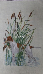 Hunting dog