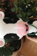my lovely cow
