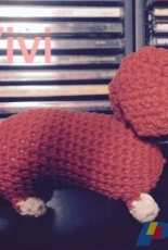 Nice dog