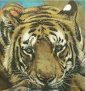 Kustom Krafts JW-005 Siberian Tiger XSD