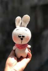 rabbit amalou