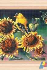 Stefy Palma - Fiori 127