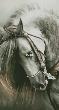 Chimera - Grey Horse