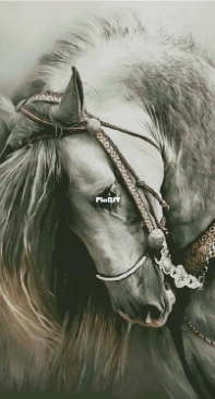 Chimera - Grey Horse