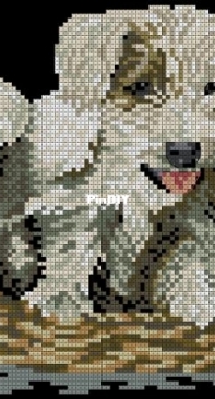 Oehlenschlager Design OOE - 02038-02039 Three Puppies XSD-PCS