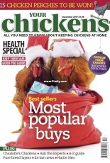 Your Chickens December 2017