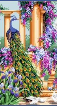 CSDRinna - Peacock Elegance Lrg XSD