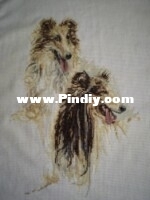 Collie Lanarte