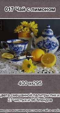 NaDiMa - 017 - Lemon Tea Still Life