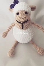 Cute Sheeps for todlers