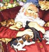 Dimensions 8836 Santas Nap