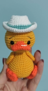 Duck