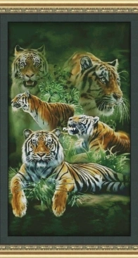 Tigers - E-684 by Galina Nesterenko