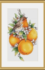 Birdie with Tangerines by Svetlana Sichkar