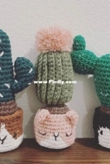 Cactus in the Facepot