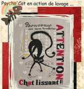 isabelle Vautier RV 226 - Psycho Cat en Action de Lavage Chat Lissant!