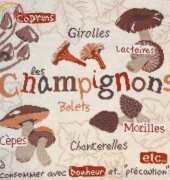 Champignons