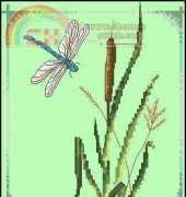 Anchor PCE-552 Bull Rush and Dragonfly ...