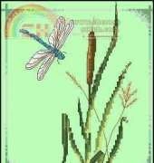 Anchor PCE-552 Bull Rush and Dragonfly ...