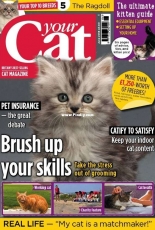 Your Cat - June 2018