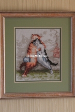 Cats