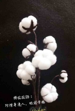 Cotton flower