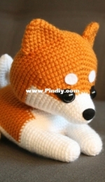 Miss Cuddlington - Ginger the Shiba Inu