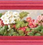 FIORI 103