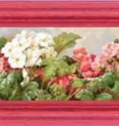 FIORI 103