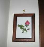 Rose  from The Silver lining