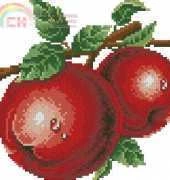 JingXin JX-H-126 Apples