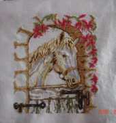 horse