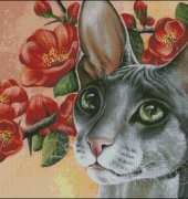 HAED HAEIAG 1246 Chinese Quince by Irina Garmashova